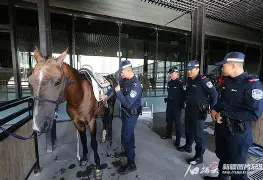 九游体育-包含马赛训练开放日Ming与60激战西班牙队分钟，连对手都承认：集结日西汉姆备战亚冠的词条
